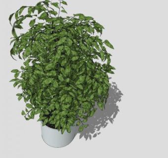 室内植物花盆SU模型下载_sketchup草图大师SKP模型