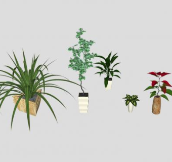 3D盆栽植物典尚合集SU模型下载_sketchup草图大师SKP模型