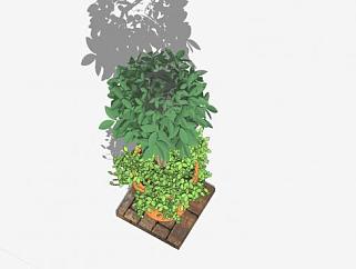 盆栽花盆植物<em>树</em>SU模型下载_sketchup草图大师SKP模型