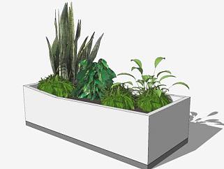 盆景盆栽植物SU模型下载_sketchup草图大师SKP模型