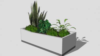 盆景盆栽植物SU模型下载_sketchup草图大师SKP模型