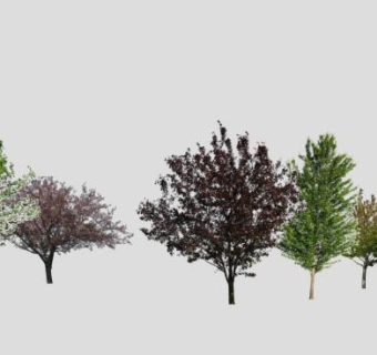 2D植物树SU模型下载_sketchup草图大师SKP模型