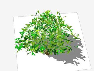 灌木地<em>被</em>植物SU模型下载_sketchup草图大师SKP模型