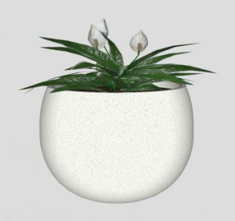 椭圆盆栽植物SU模型下载_sketchup草图大师SKP模型