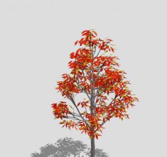 红色的树枫树SU模型下载_sketchup草图大师SKP模型