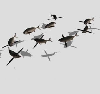 鱼儿鱼类SU模型下载_sketchup草图大师SKP模型