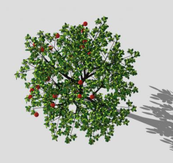 精美圣诞苹果树SU模型下载_sketchup草图大师SKP模型