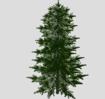 松树精美植物SU模型下载_sketchup草图大师SKP模型