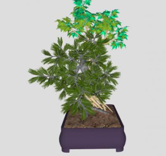 枫叶盆栽植物SU模型下载_sketchup草图大师SKP模型