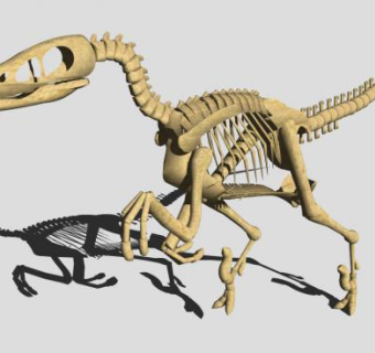 恐龙骨架的SU模型设计_su模型下载 草图大师模型_SKP模型