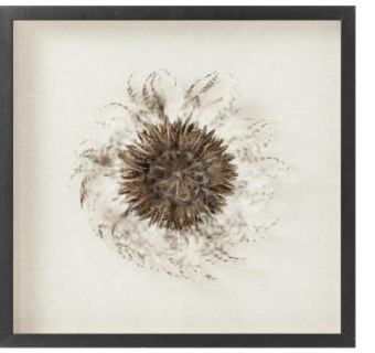 追梦人相框SU模型下载_sketchup草图大师SKP模型