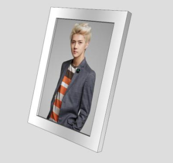 EXO框架相框SU模型下载_sketchup草图大师SKP模型