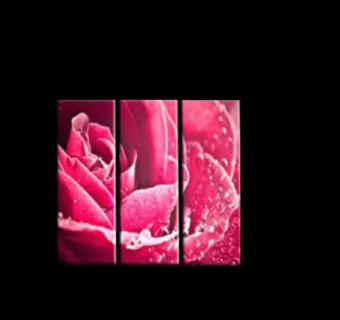 现代玫瑰相框SU模型下载_sketchup草图大师SKP模型