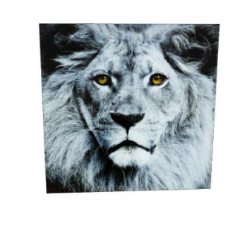 玻璃脸狮子装饰SU模型下载_sketchup草图大师SKP模型