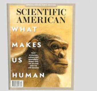 科学美国人杂志书籍SU模型下载_sketchup草图大师SKP模型