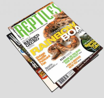 爬虫书籍杂志SU模型下载_sketchup草图大师SKP模型