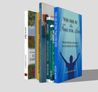 图书生活书籍SU模型下载_sketchup草图大师SKP模型