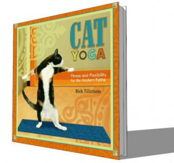 瑜伽猫书本SU模型下载_sketchup草图大师SKP模型