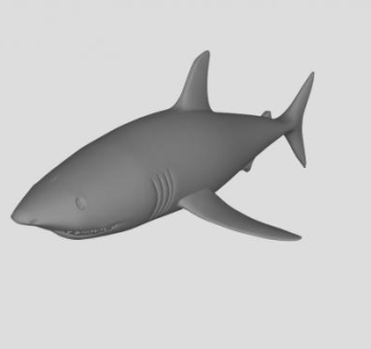 水族鲨鱼SU模型下载_sketchup草图大师SKP模型
