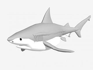 牛鲨白真鲨SU模型下载_sketchup草图大师SKP模型