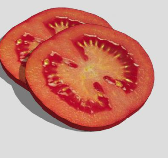 西红柿番茄片SU模型下载_sketchup草图大师SKP模型