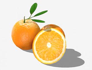 橙色橙子水果SU模型下载_sketchup草图大师SKP模型