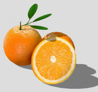橙色橙子水果SU模型下载_sketchup草图大师SKP模型