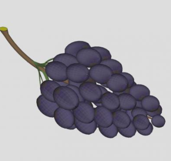 水果葡萄SU模型下载_sketchup草图大师SKP模型