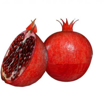 石榴水果食物SU模型下载_sketchup草图大师SKP模型