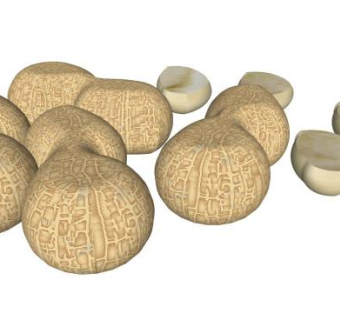 花生食品SU模型下载_sketchup草图大师SKP模型