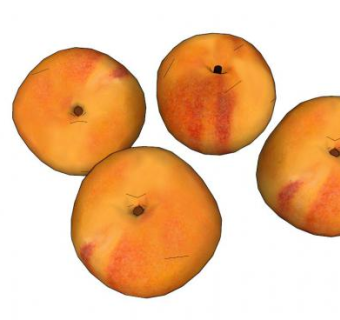 桃子水果SU模型下载_sketchup草图大师SKP模型