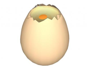 食品鸡蛋SU模型下载_sketchup草图大师SKP模型