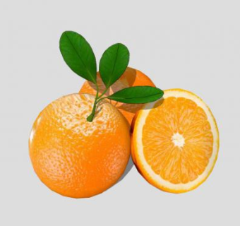 橘子橙色SU模型下载_sketchup草图大师SKP模型