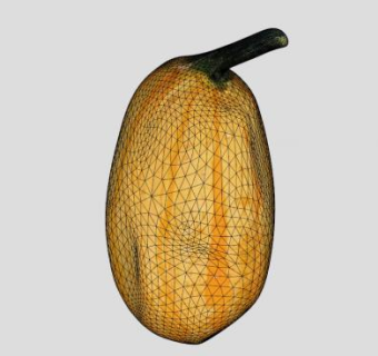 南瓜蔬菜水果SU模型下载_sketchup草图大师SKP模型