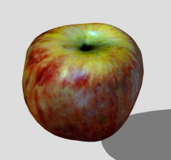 水果营养苹果SU模型下载_sketchup草图大师SKP模型