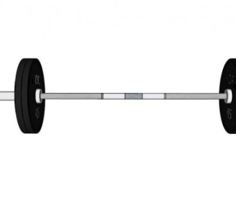 约克奥运杠铃SU模型下载_sketchup草图大师SKP模型