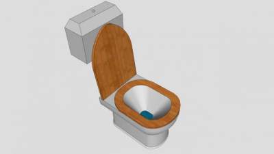 木盖坐便器和冲水器SU模型下载_sketchup草图大师SKP模型