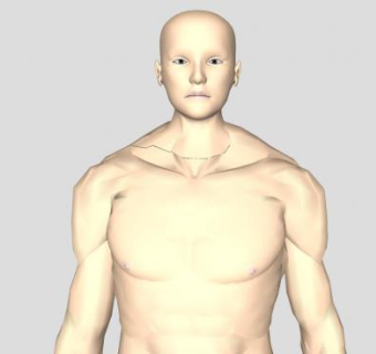 全裸男士SU模型下载_sketchup草图大师SKP模型