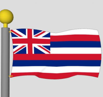 夏威夷挂件旗杆SU模型下载_sketchup草图大师SKP模型