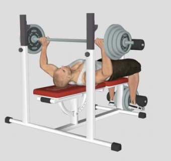 举重床上的健身男人SU模型下载_sketchup草图大师SKP模型