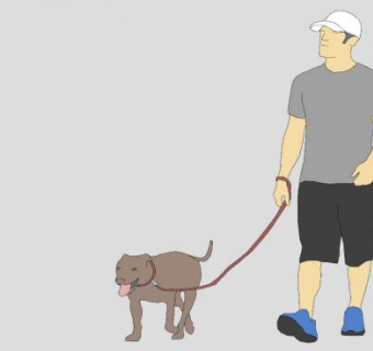 休闲青年遛狗SU模型下载_sketchup草图大师SKP模型