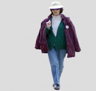 2D女人走姿SU模型下载_sketchup草图大师SKP模型