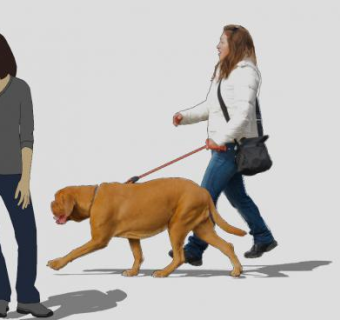女人和狗SU模型下载_sketchup草图大师SKP模型