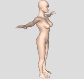 女人裸体模型SU模型下载_sketchup草图大师SKP模型