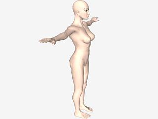 女人<em>裸体</em>模型SU模型下载_sketchup草图大师SKP模型