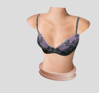 花纹胸罩展台SU模型下载_sketchup草图大师SKP模型