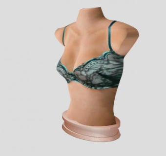 黑绿色胸罩SU模型下载_sketchup草图大师SKP模型