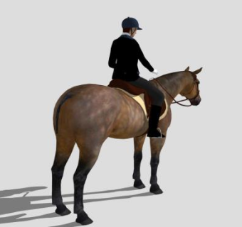 骑马的女士SU模型下载_sketchup草图大师SKP模型