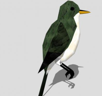 霸鹟鸟SU模型下载_sketchup草图大师SKP模型