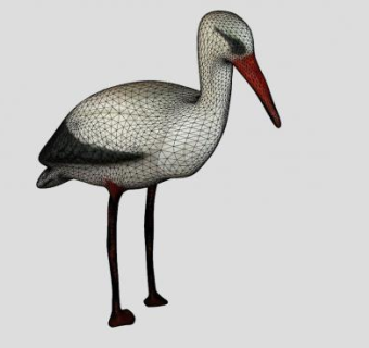 白鹤SU模型下载_sketchup草图大师SKP模型